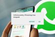 Ghoorib.com | Cara mengatasi Aplikasi WhatsApp keluar sendiri